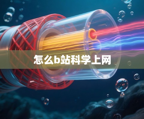 怎么b站科学上网